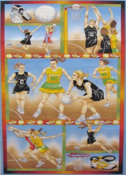 Netball Panel Sport - Click Image to Close